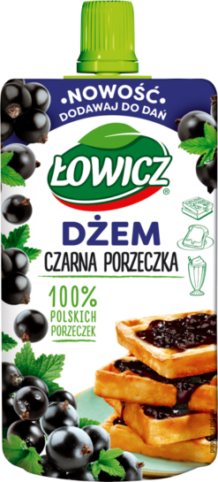 Czarna porzeczka